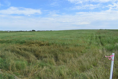 427 County Road 158 — photo 5