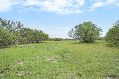 1190 Dickerson Rd — photo 3