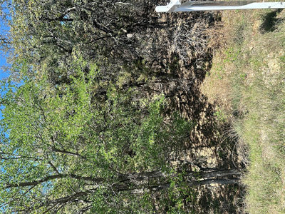 21502 Cardinal Ave — photo 4