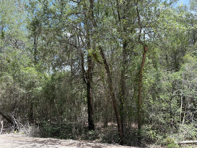 Lot 1228 & 1229 Hanauma Dr — photo 3