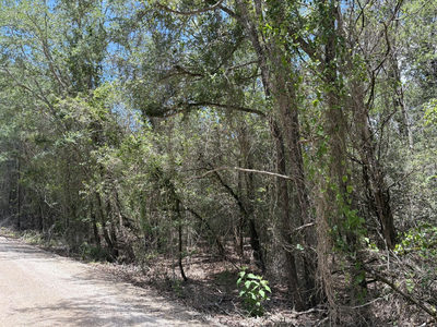 Lot 1228 & 1229 Hanauma Dr — photo 4