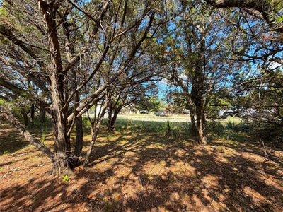 2021 Ronda Ct — photo 5