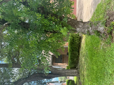 8502 Cima Oak Ln #A — photo 2