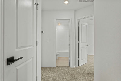 2535 Violet Theo Ln — photo 5