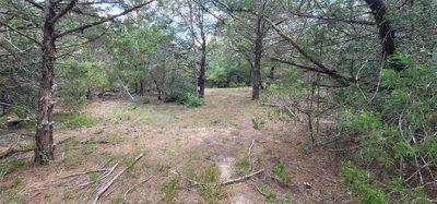 TBD EAST FM 20 / TRAILSIDE DRIVE Hwy — photo 2