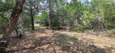 TBD EAST FM 20 / TRAILSIDE DRIVE Hwy — photo 3