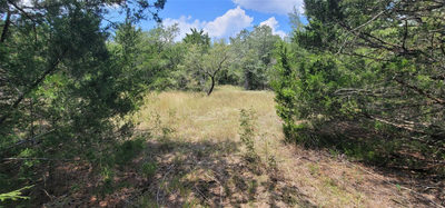 TBD EAST FM 20 / TRAILSIDE DRIVE Hwy — photo 4