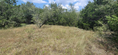TBD EAST FM 20 / TRAILSIDE DRIVE Hwy — photo 5