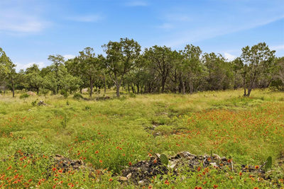 Lot 2 Sunset Dr — photo 5
