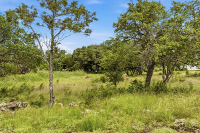 Lot 2 Sunset Dr — photo 4