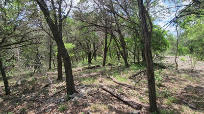 410 Owl Hollow Rd — photo 4