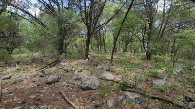 410 Owl Hollow Rd — photo 3