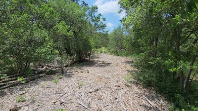 410 Owl Hollow Rd — photo 2