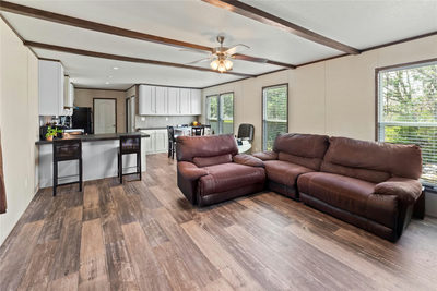 109 Hibiscus Cv — photo 2