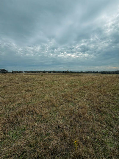 TBD Lot 3 HWY 304 — photo 3