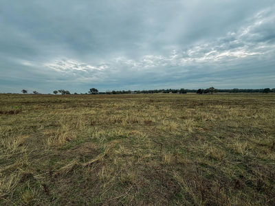 TBD Lot 3 HWY 304 — photo 4