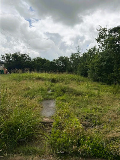 503 Maple St — photo 4