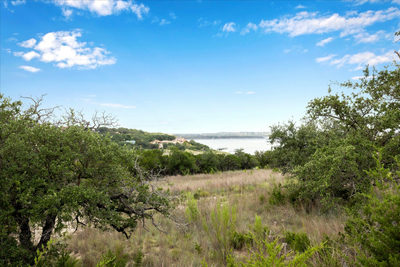 18108 Cedar Sage Ct — photo 4