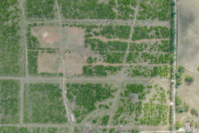 TBD Lot 3 Young Ln — photo 3