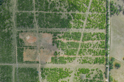 TBD Lot 3 Young Ln — photo 4
