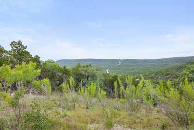 21400 Bison Trl — photo 2