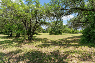 455 Robins Ln — photo 5
