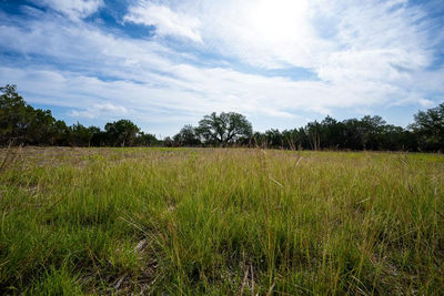 TBD Gatlin Creek Rd — photo 4
