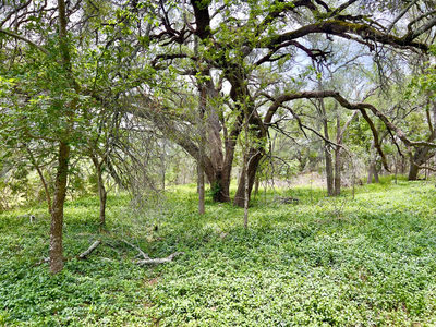 TBD Lot PT 19 Narrows Rd — photo 2