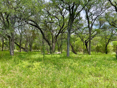 TBD Lot PT 19 Narrows Rd — photo 4