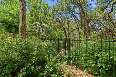 10512 Thoroughbred Dr — photo 2