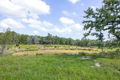 305 Cistern Rd — photo 3