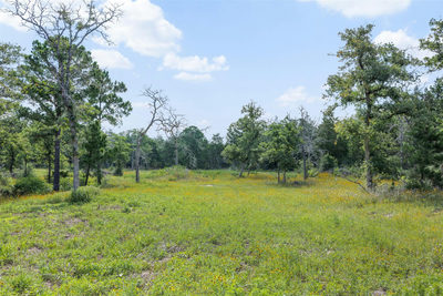 305 Cistern Rd — photo 4