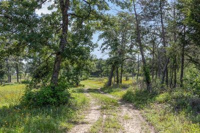 305 Cistern Rd — photo 2