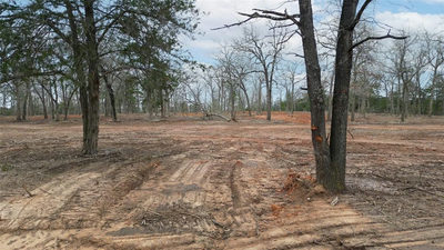 1559 Fm 535 — photo 2