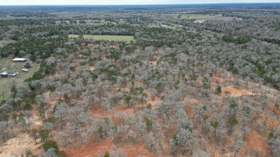 1559 Fm 535 — photo 5