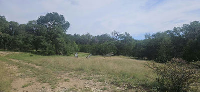 200 Gold Rush Cir — photo 3