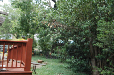 2102 Blue Meadow Dr — photo 4
