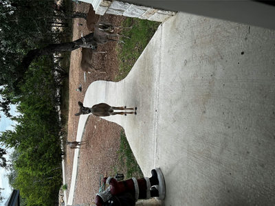 13326 Trautwein Rd — photo 4