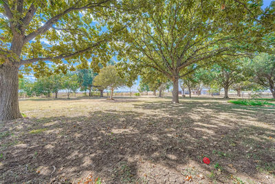 10026 Fm 1660 — photo 2
