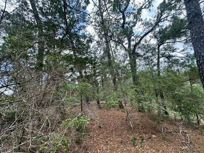 217 Helemano Dr — photo 3
