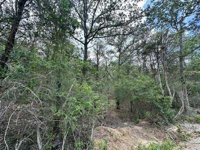 173 Kaaawa Ln — photo 4