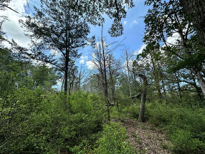 000 Oah Ct — photo 5