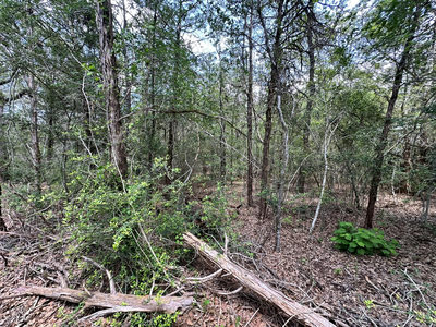 000 Oah Ct — photo 4