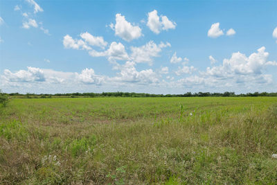 21814 Hogeye Rd — photo 5