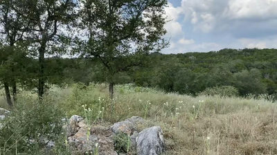 1173 Hilltop Rdg — photo 3