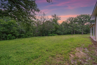 272 Old Coach Ln — photo 3