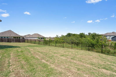 15212 Purple Drop Cv — photo 2