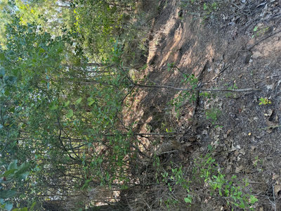 Lot 1384 Pahihi Dr — photo 5