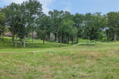 401 Fm 672 — photo 5