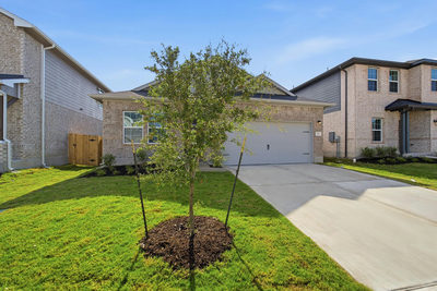 341 Begonia St — photo 3